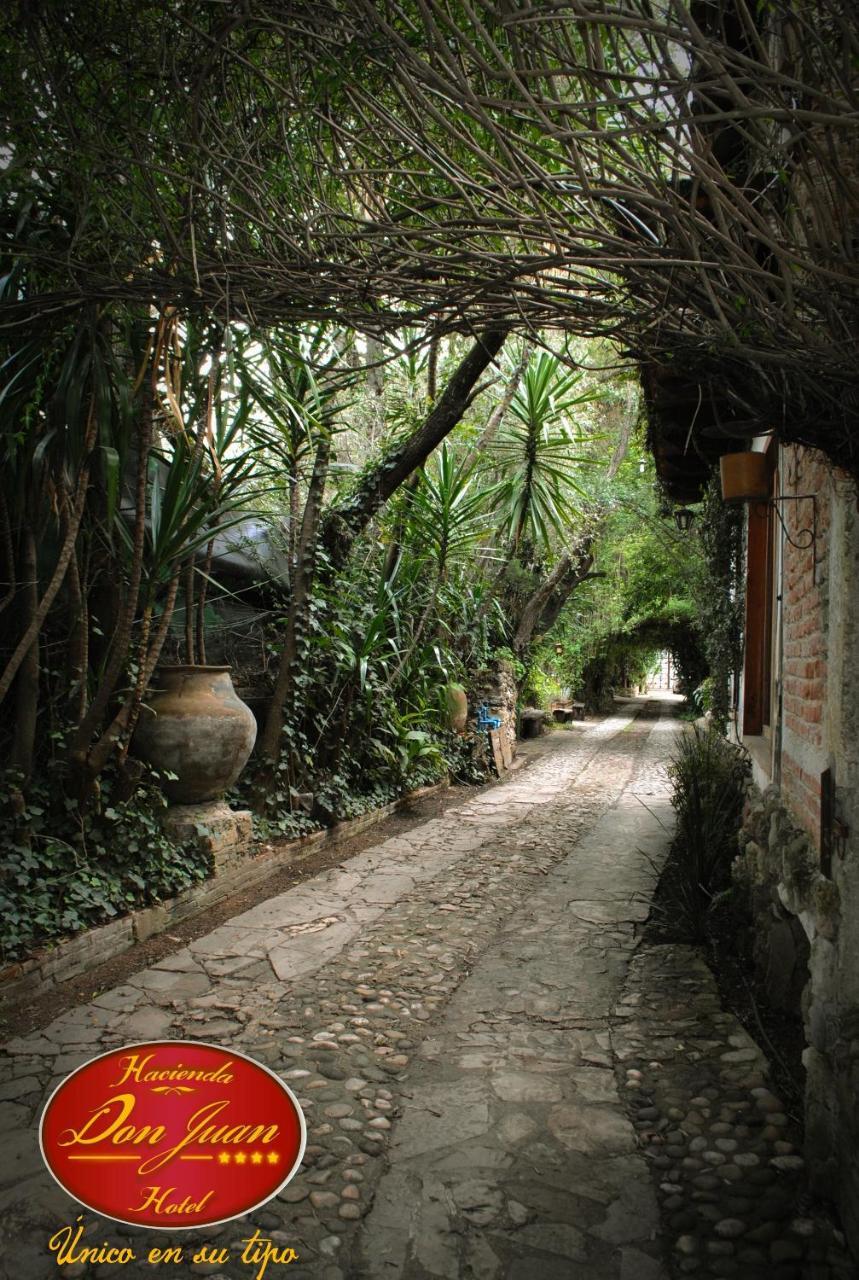 Hotel Hacienda Don Juan San Cristóbal de Las Casas エクステリア 写真