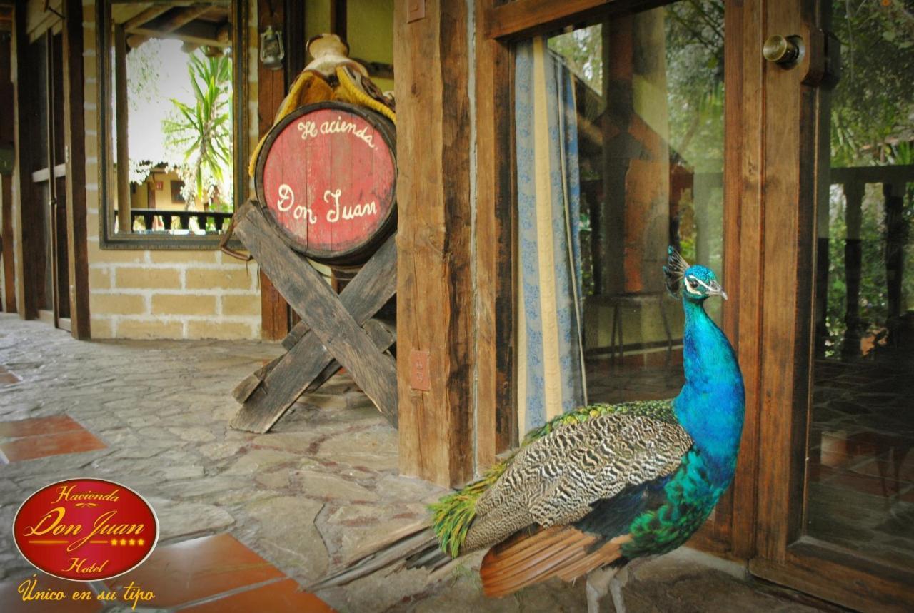 Hotel Hacienda Don Juan San Cristóbal de Las Casas エクステリア 写真