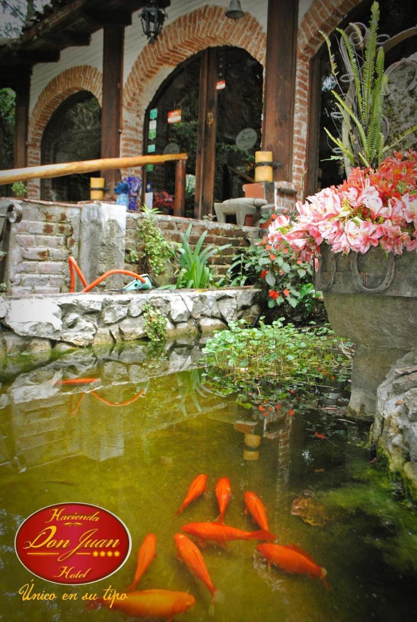Hotel Hacienda Don Juan San Cristóbal de Las Casas エクステリア 写真